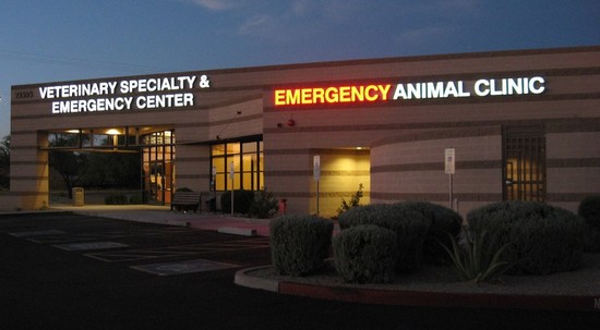 animal specialty group of scottsdale